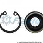Selo Sanden TR70/TR90/TR105